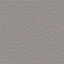 E205